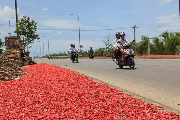 Vietnam My Son 003 tn